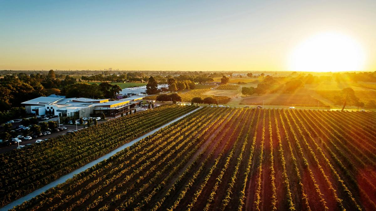 Full-Day Caversham, Brewery & Swan Valley Food Sensations