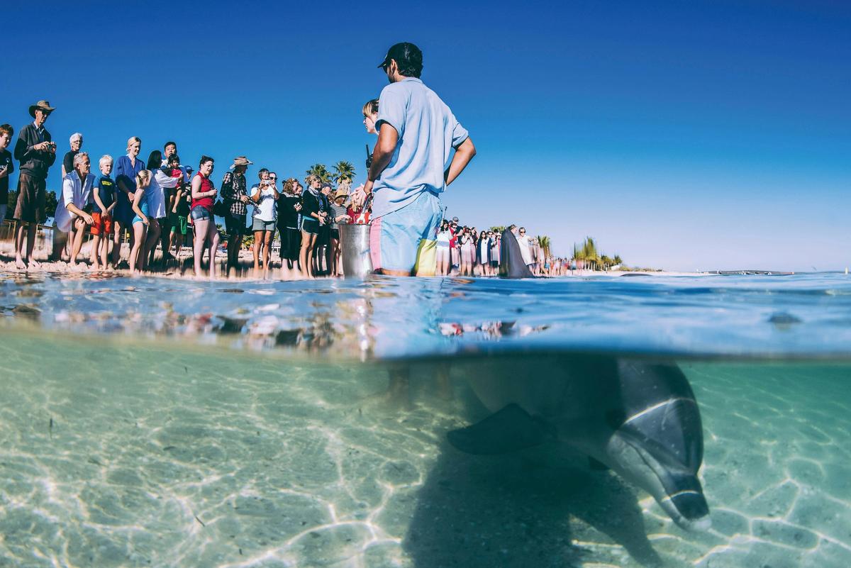 3 Days Geraldton, Kalbarri, Pink Lake, Monkey Mia Dolphins & Pinnacles Tour