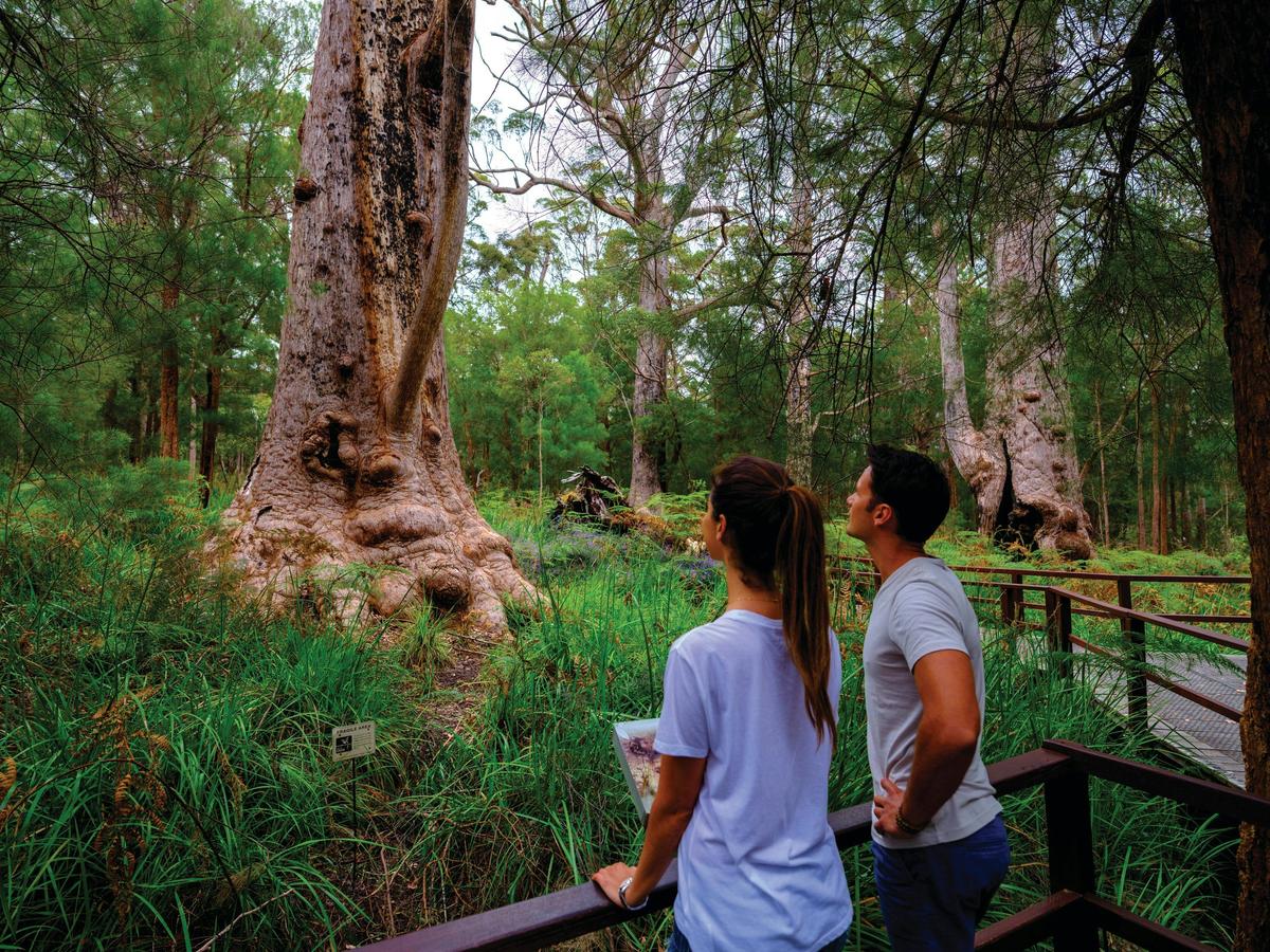 3 Days - South West, Pemberton and Margaret River Town
