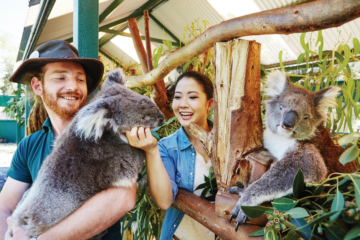 Caversham Wildlife Park