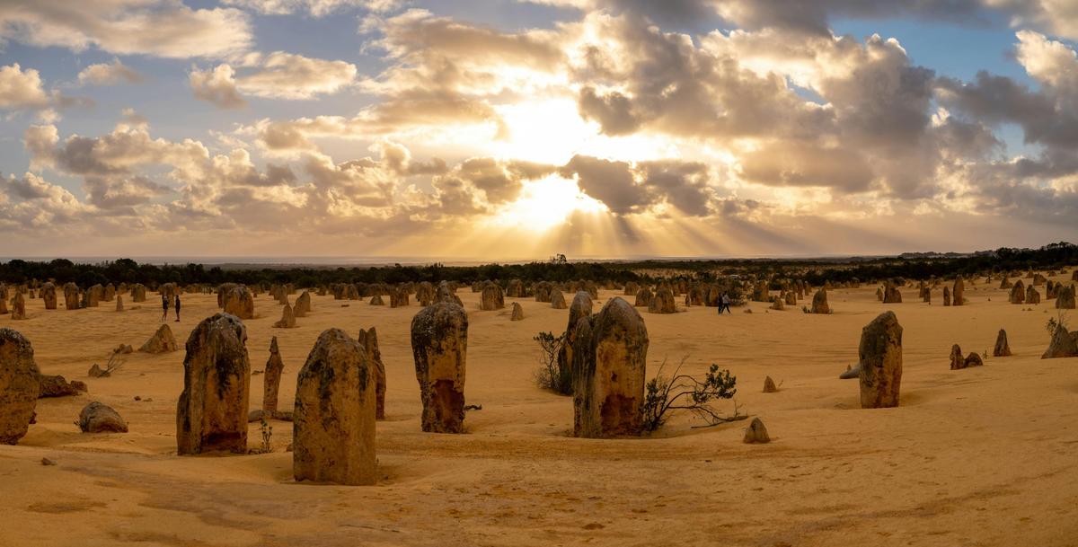 Pinnacles, Swan Valley Wildlife Park and Lancelin