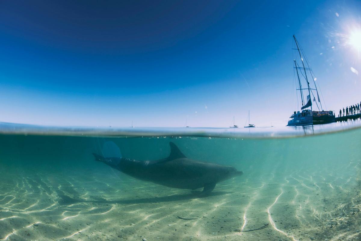 3 Days Geraldton, Kalbarri, Pink Lake, Monkey Mia Dolphins & Pinnacles Tour