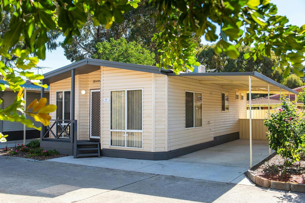 Deluxe Family Cabin