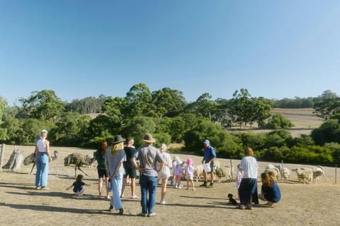 Big Valley Campsite