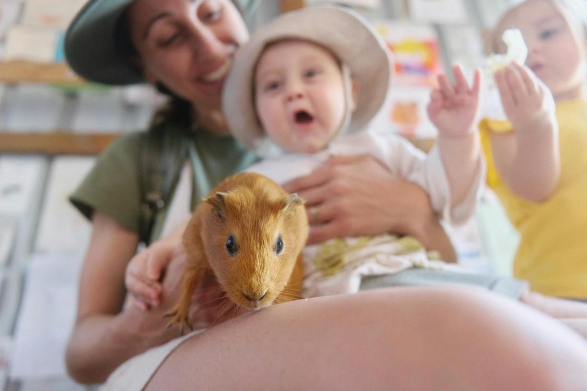 Family Farm Moments