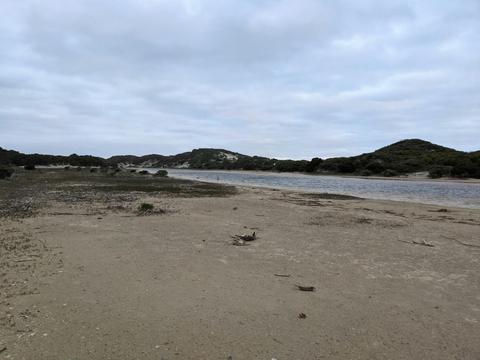 Campsite