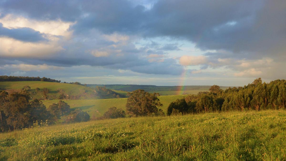 Blackwood Ridge Nature Park