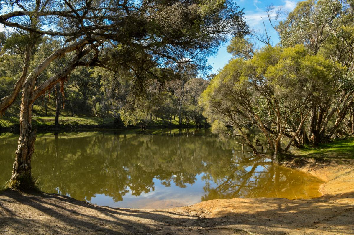 Randford Pool, Boddington