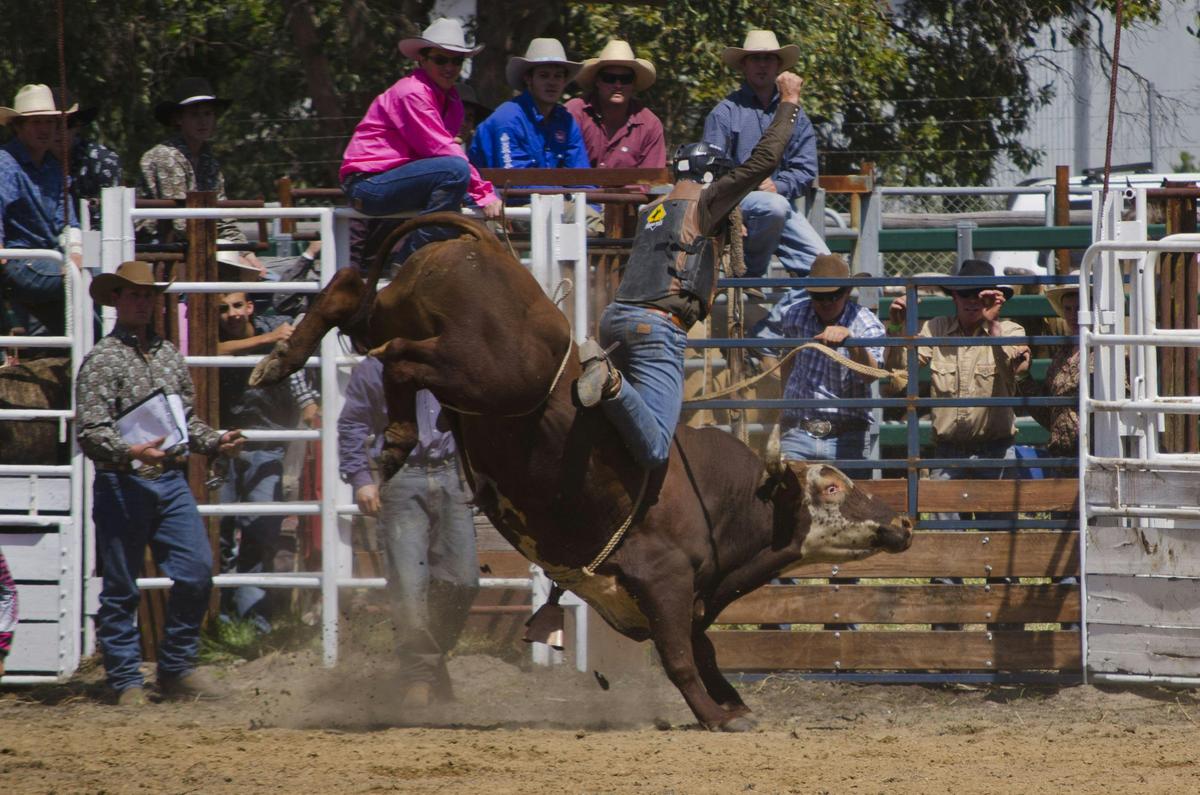 Boddington Lions Rodeo