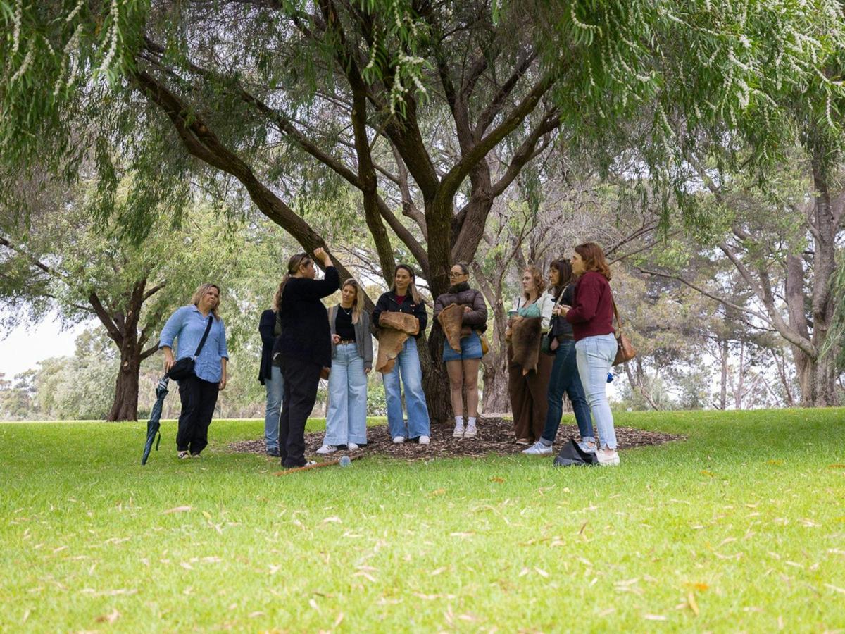 Women gathered a tree around yarning