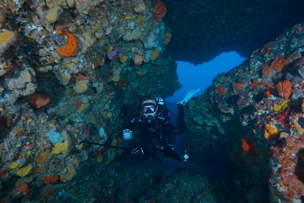 Scuba diver swims through cavern at Rottnest Island