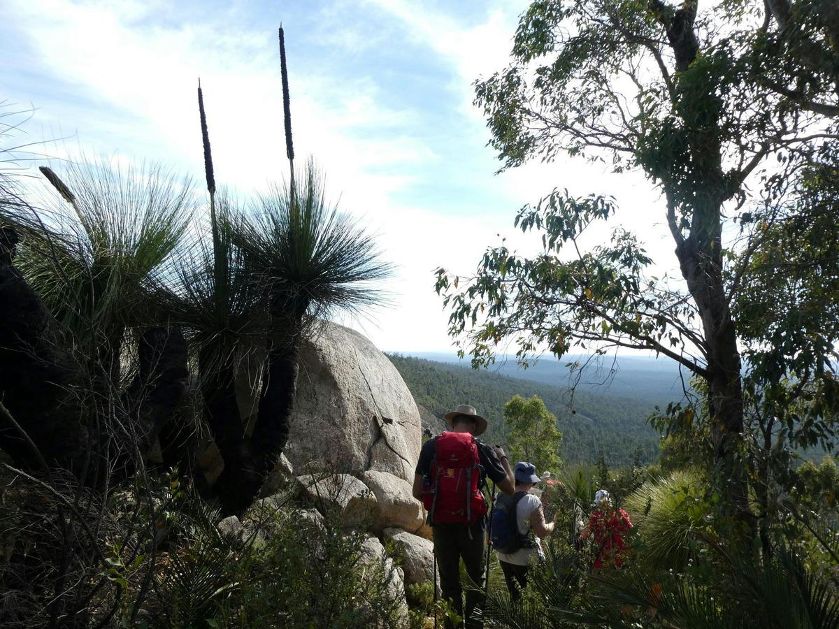 Mount Cooke
