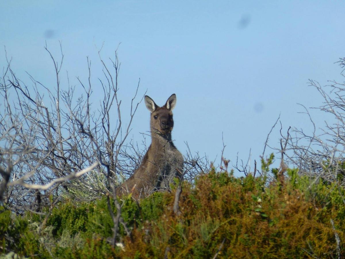 9 Day - Bibbulmun and Beyond Tour
