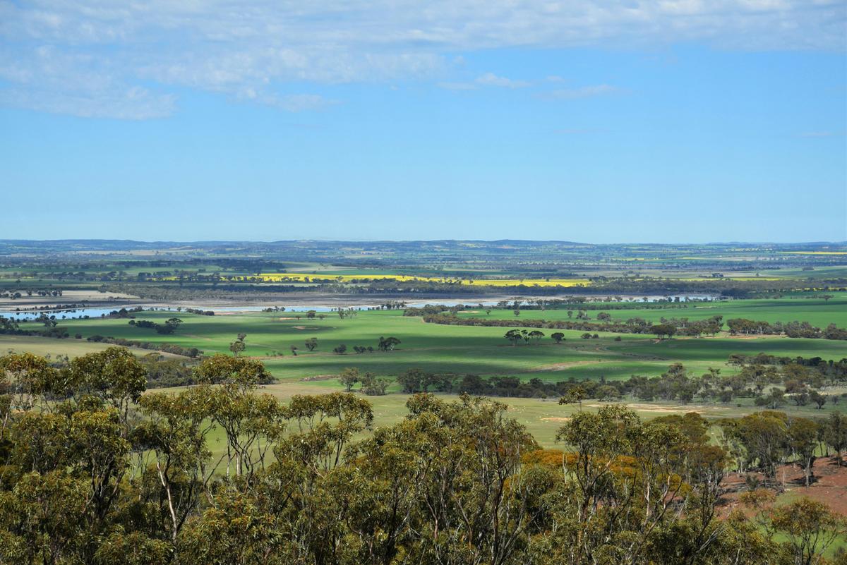 View from County Peak