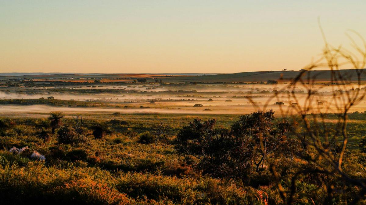 Billabong Bush Camp