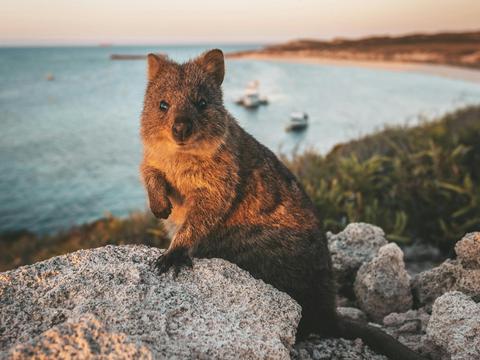 Bill Peach Journeys - Western Australia