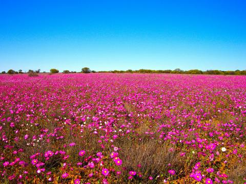 Pearls of Perth & Broome Sojourn 2026