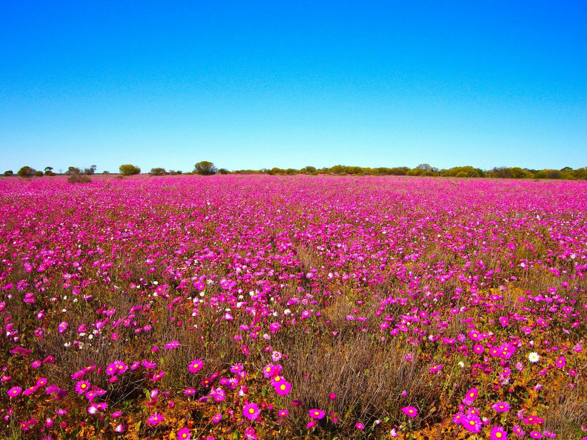 Pearls of Perth & Broome Sojourn 2026