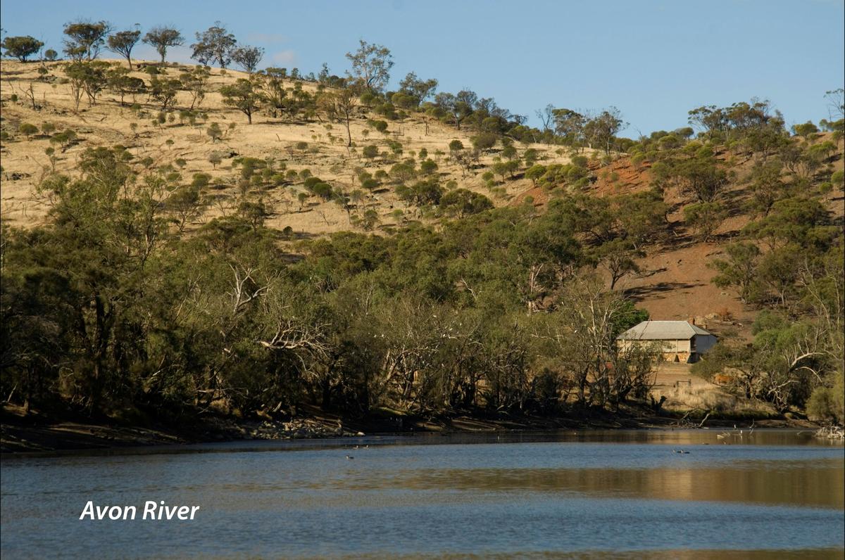 Avon River