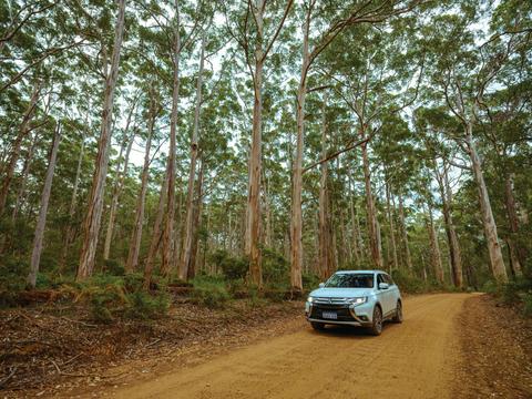 Boranup Forest Drive