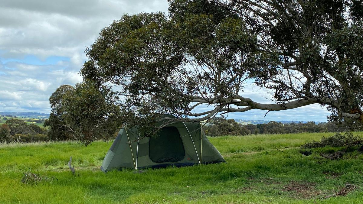 BrookHempTon Tree Farm
