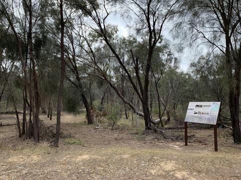 Brooking Street Reserve Walk Trail