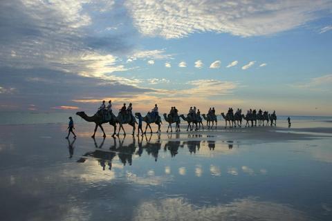 Camel Rides