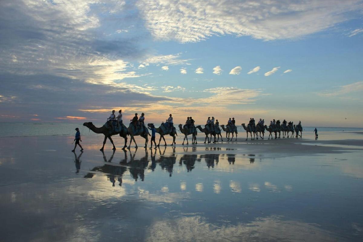 Camel Rides