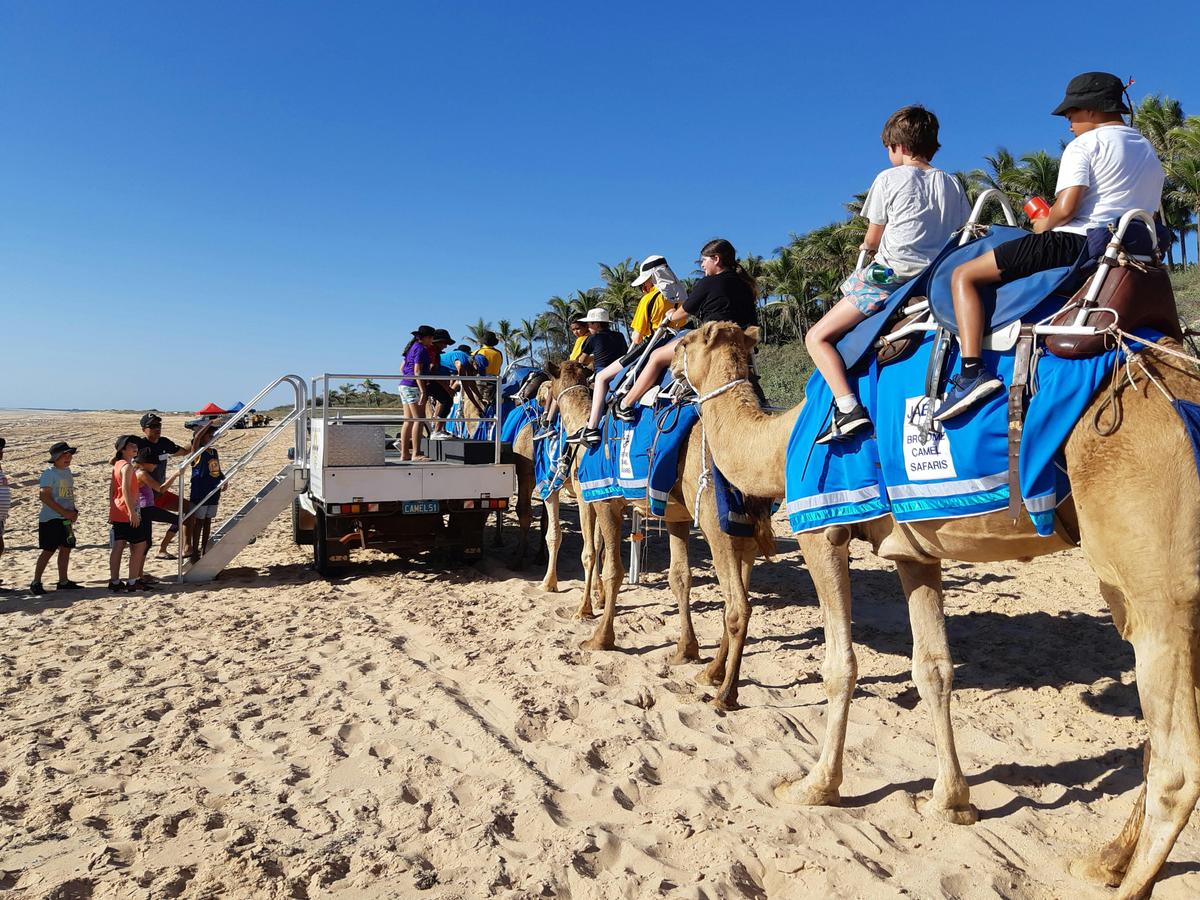Camel Rides