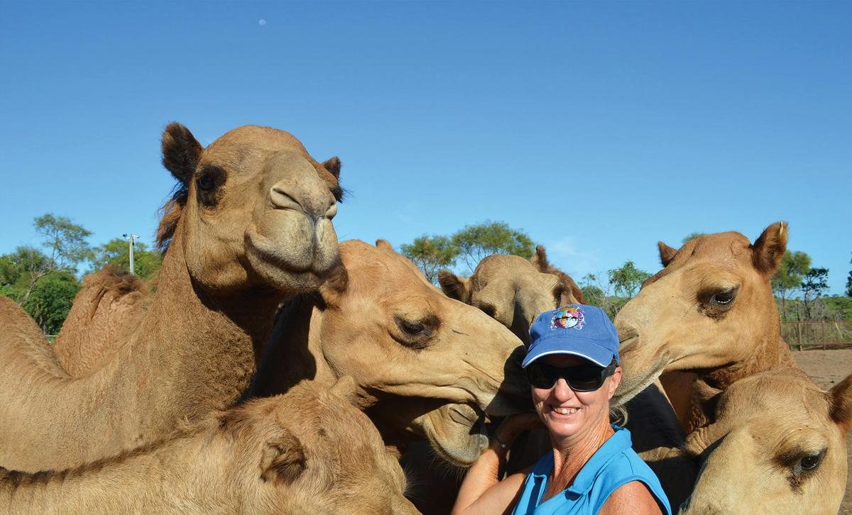 Alison with her beloved camels