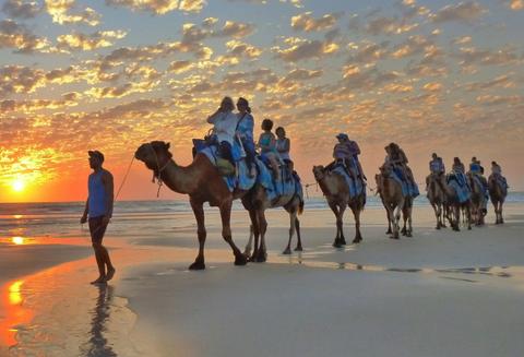 Broome Camel Safaris