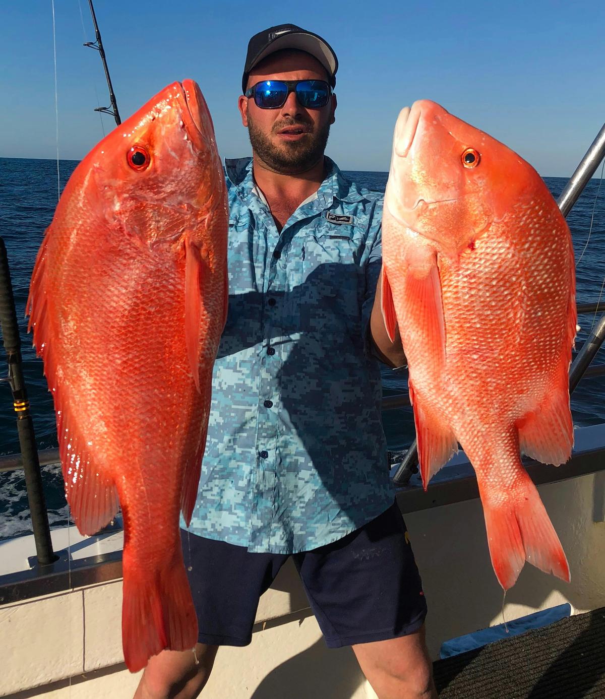 Saddletail Snapper and Red Emperor