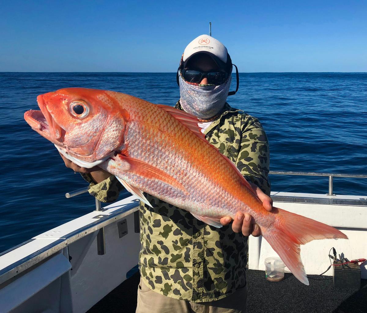 Ruby Snapper