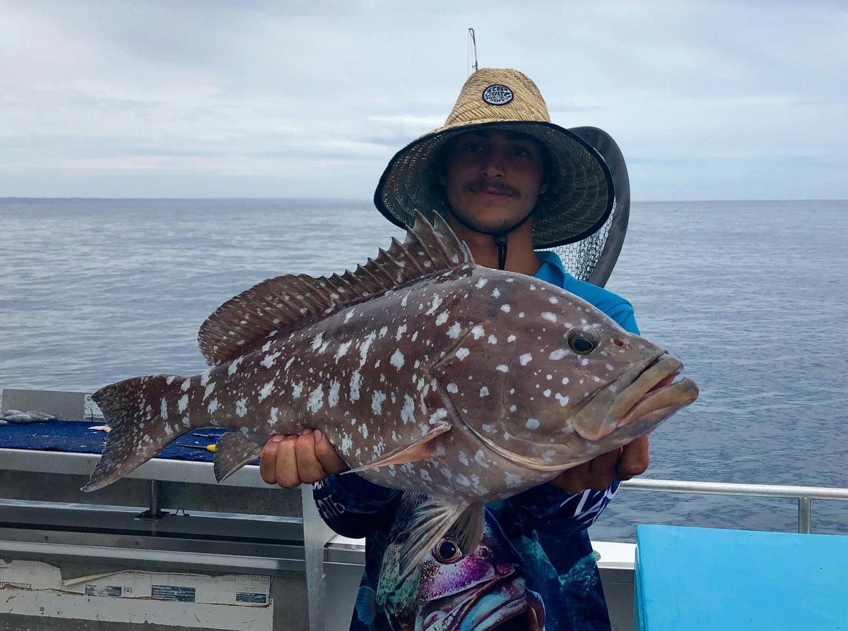 Deep Sea/Reef Fishing