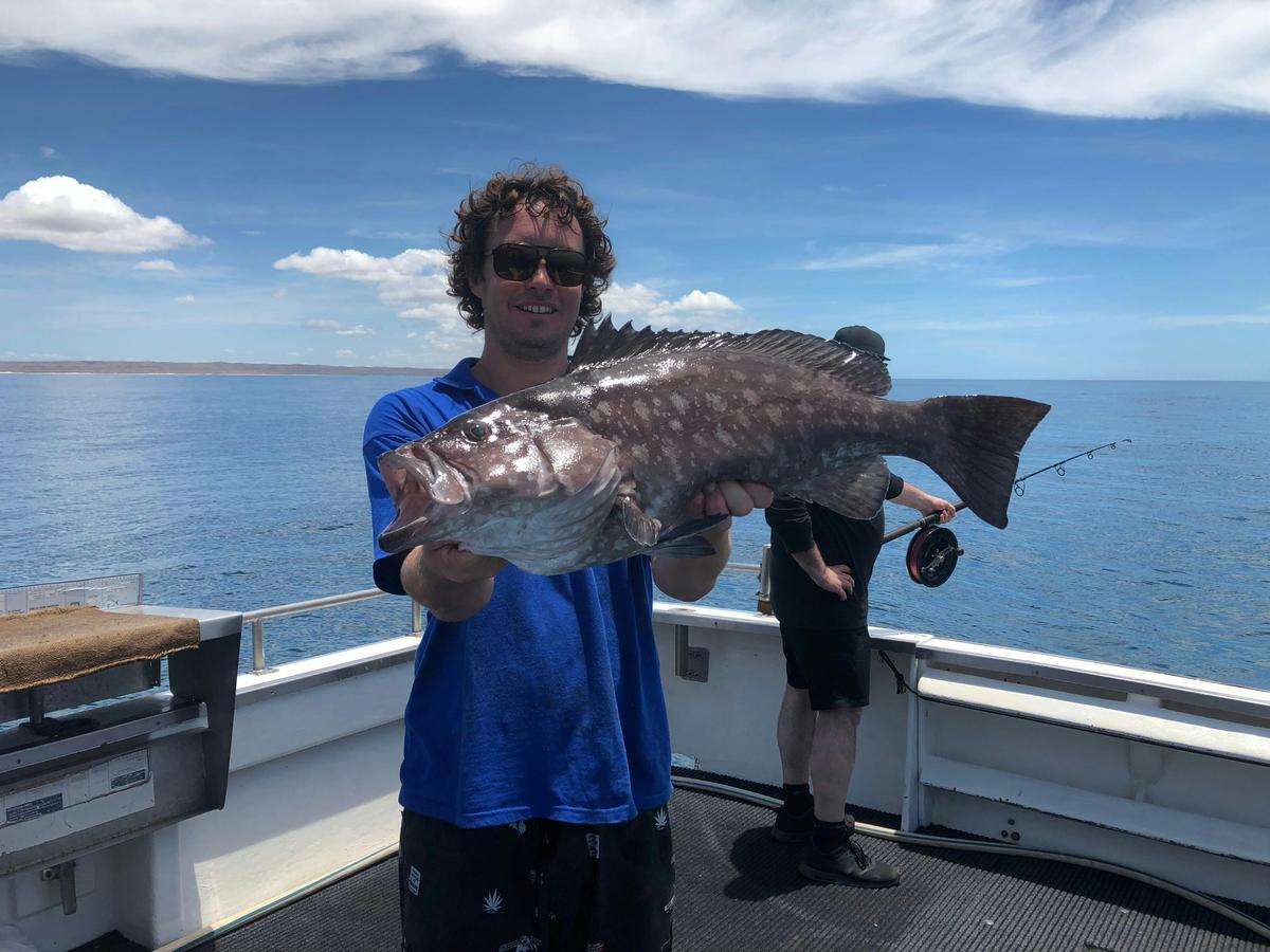 Rankin Cod