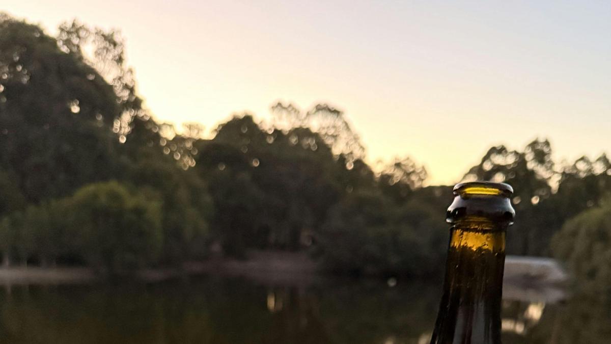 Bungarra Wines