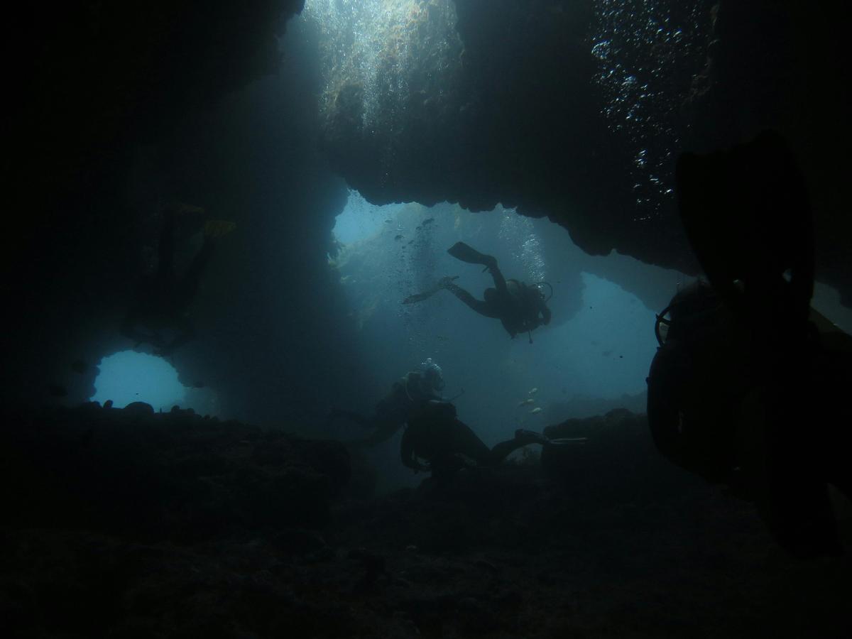 Rottnest Island Diving