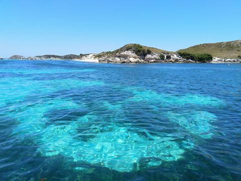 Bucket List Diver