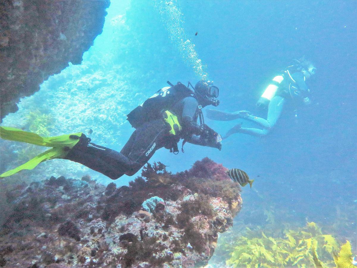 Scuba Divers at Rottnest Island