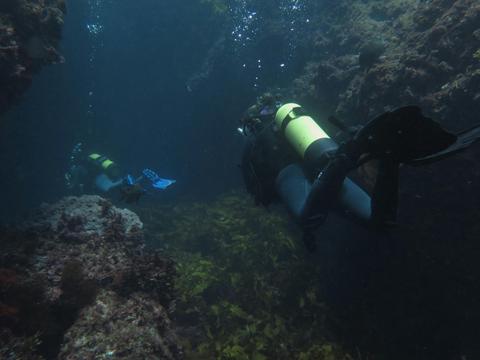 Rottnest Island Diving