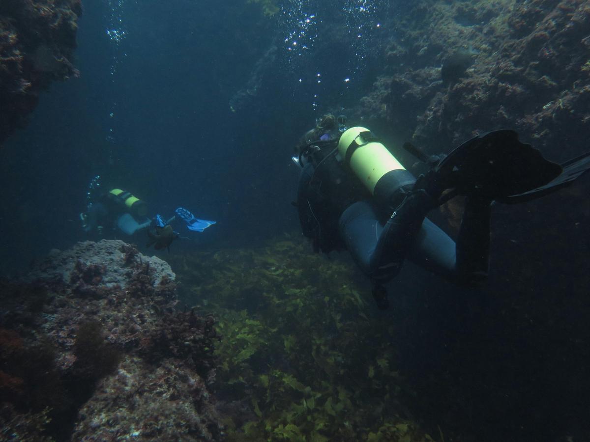 Rottnest Island Diving