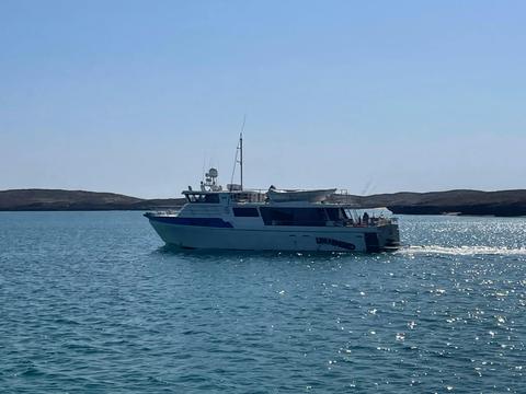 Blue Lightning Fishing Charters