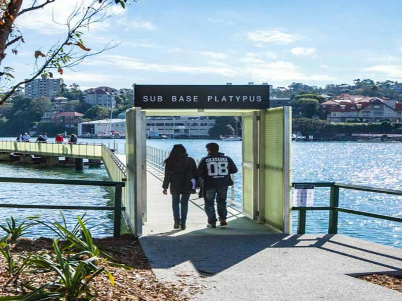 Embark on a one-of-a-kind odyssey