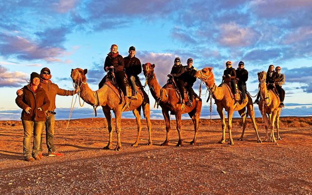 Silverton Outback Camels