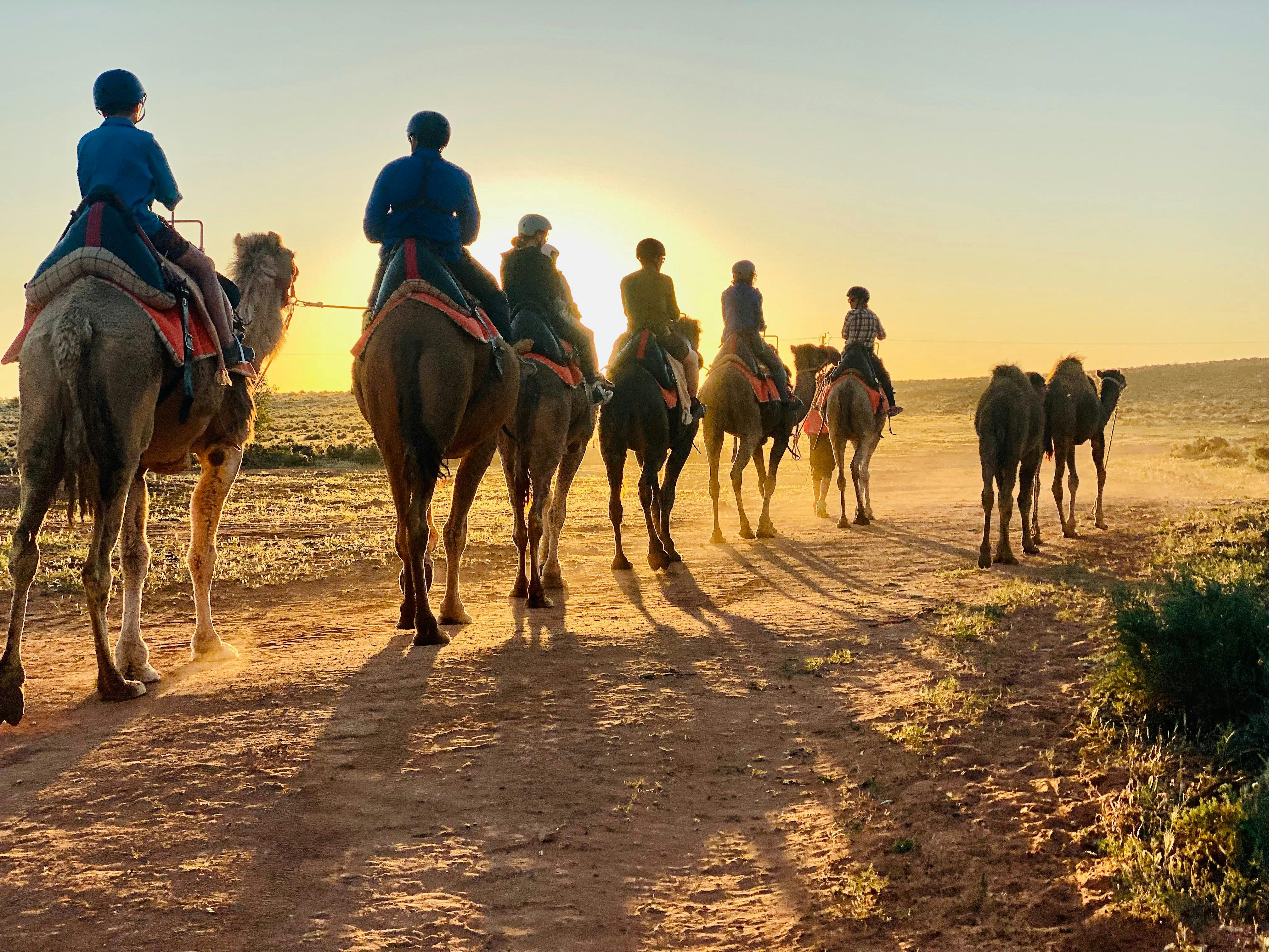Sunset camel tour