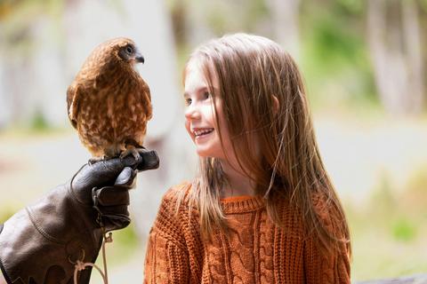 Capes Raptor Centre