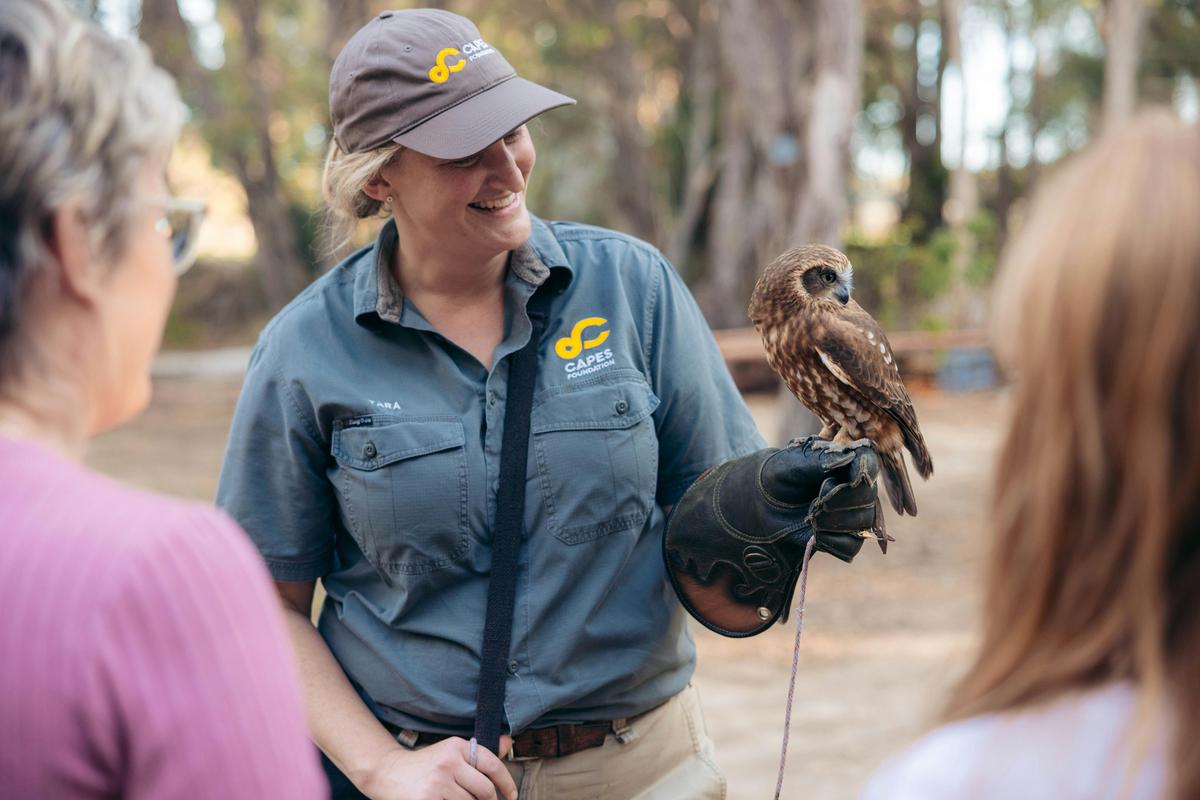 Meet majestic birds up-close during the Bird of Prey Encounter.