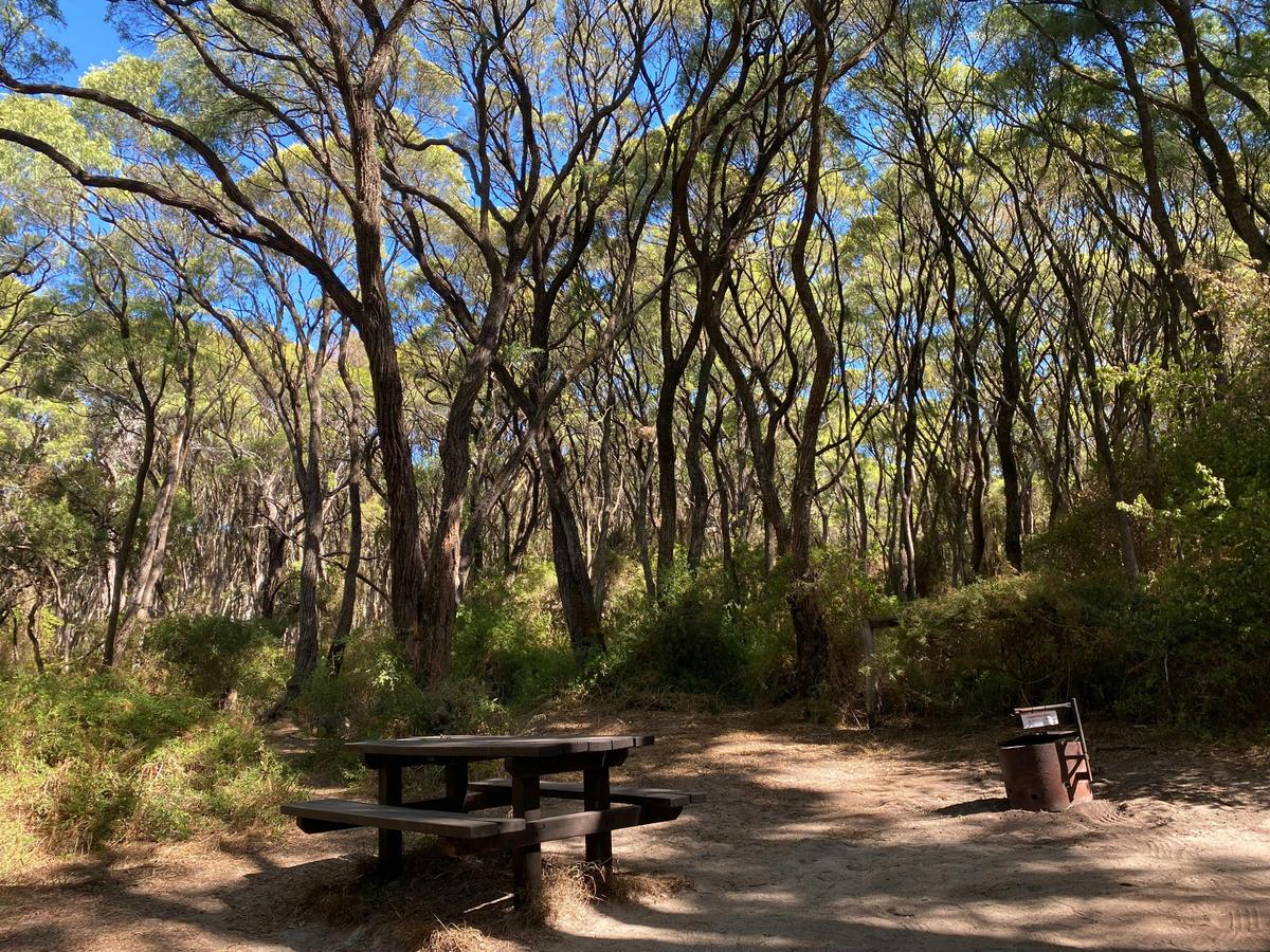 Boranup Campground