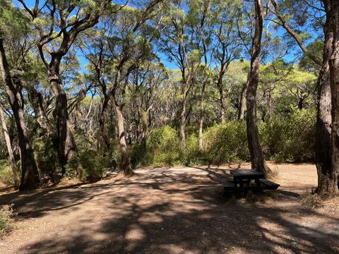 Boranup Campground