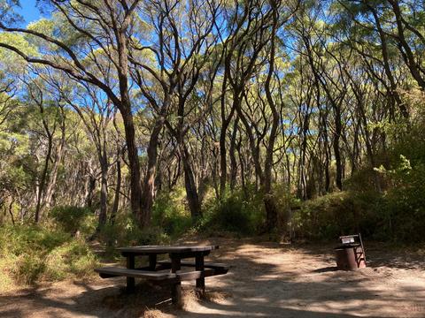 Campsite